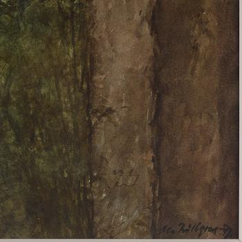 Ola Billgren, "Skog".