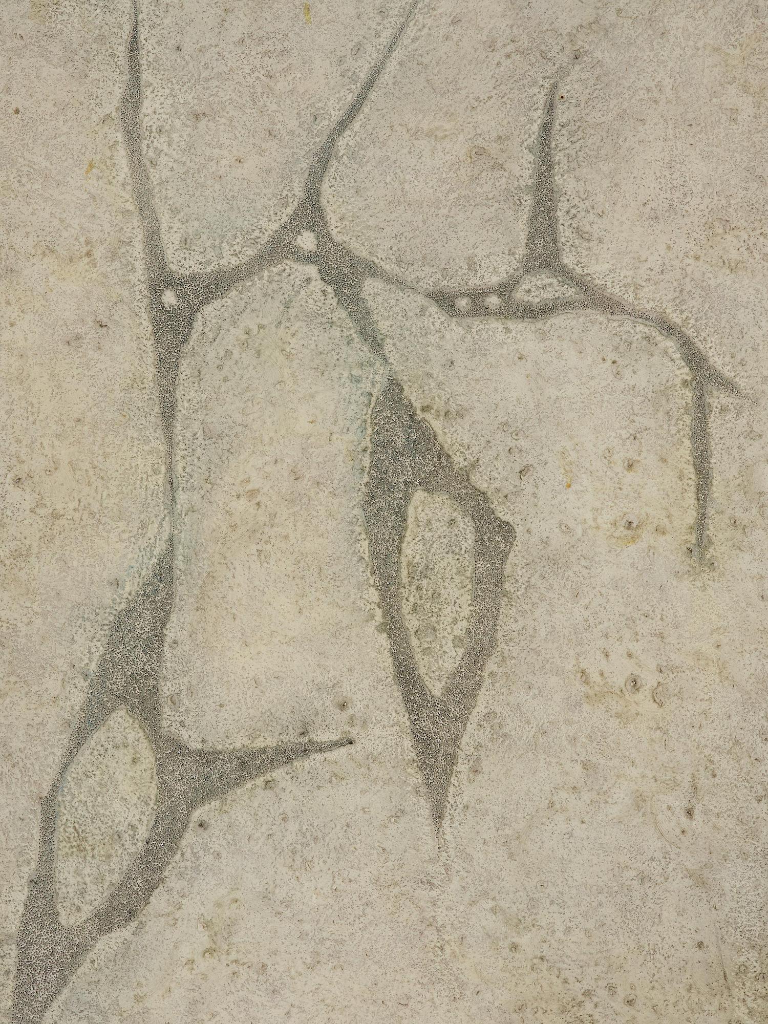Thea Ekström, Untitled.