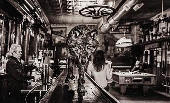 202. David Yarrow, "The Wolf Of Main Street II", 2015.