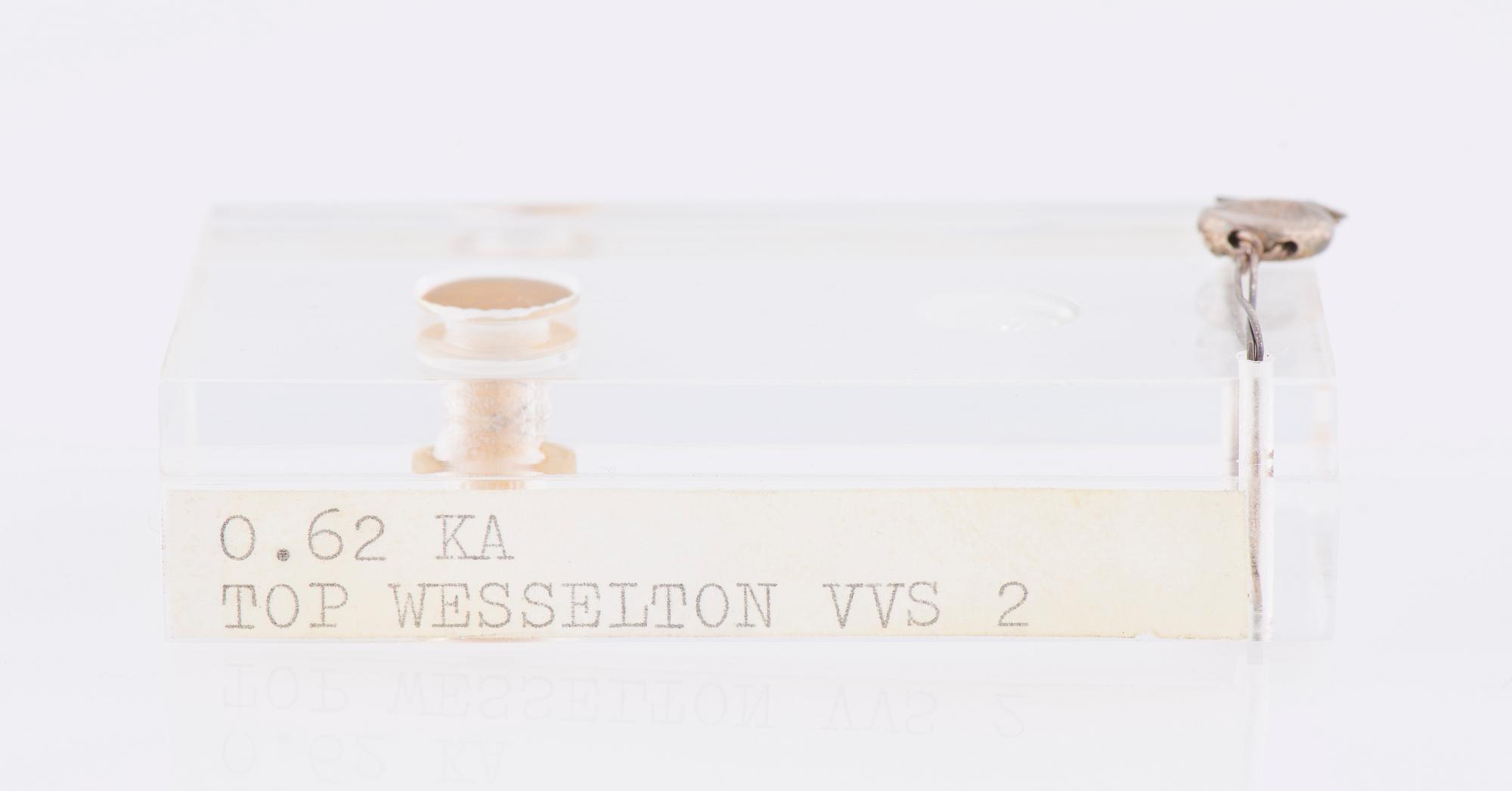 DIAMANT, briljantslipad 0,62 ct F-G (Top Wesselton) / VVS2.