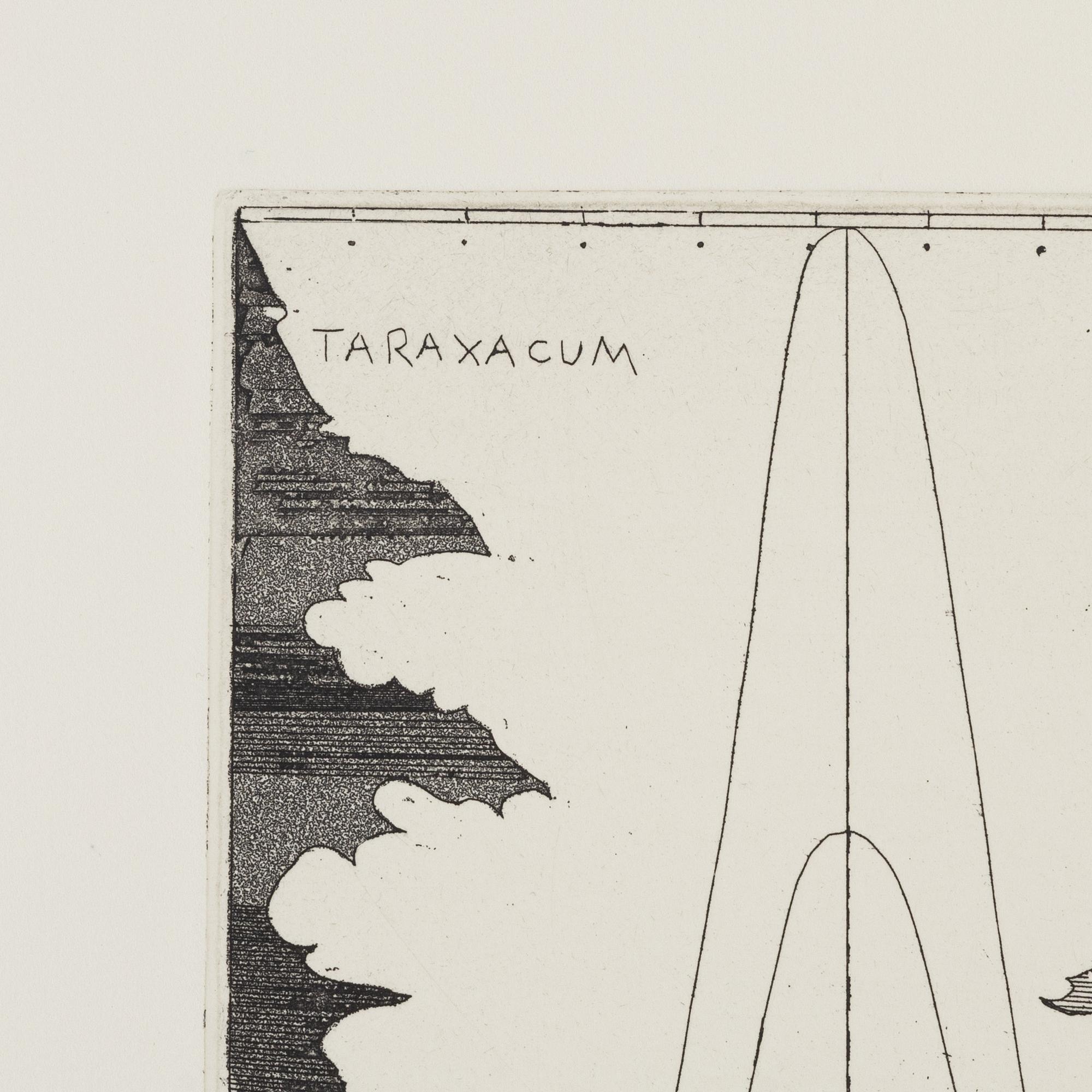 Christine Ödlund, "Bitter leaves and high frequencies".