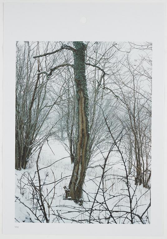 ANDREAS ERIKSSON, portfolio. Signed AE inside the box and numbered 18/250.