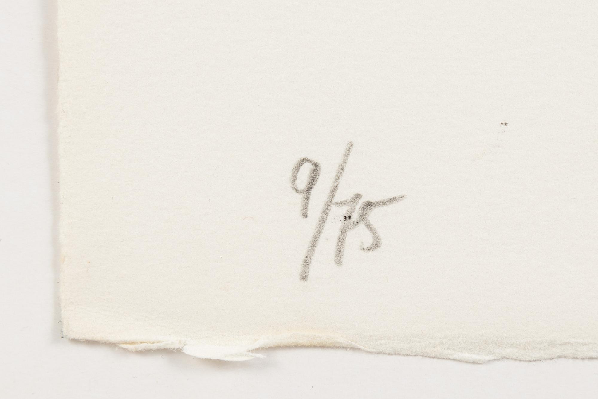 Djuric Miodrag Dado, 12 stycken litografier med mapp. Samtliga signerade och numrerade 9/75.