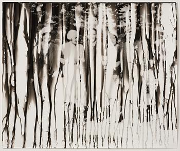 Iñaki Bonillas, "The Rain Came Last", 2013.
