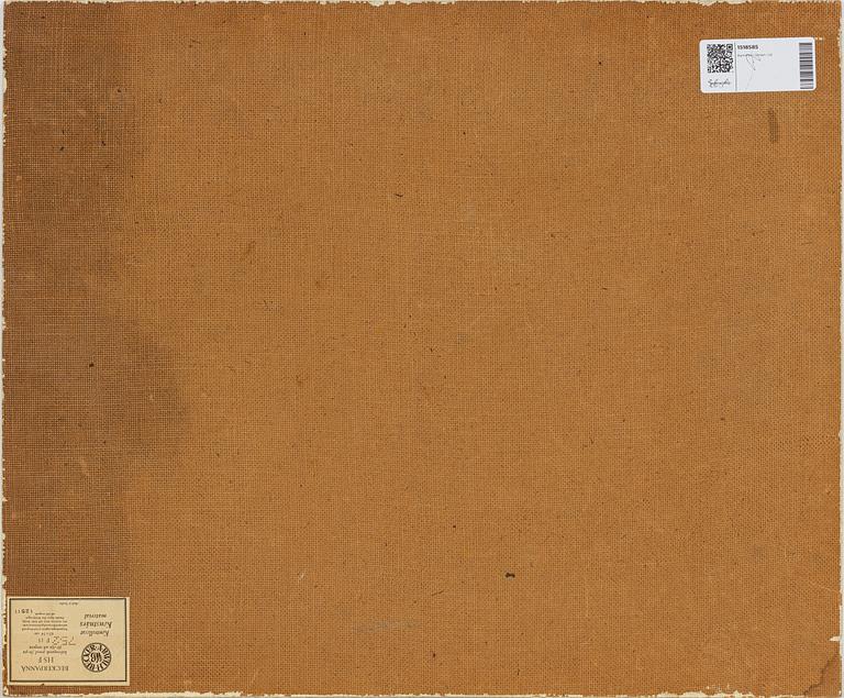 Maj Bring, Vy från öknen.