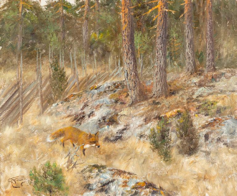 Johannes Ravn, Räv i skogslandskap.
