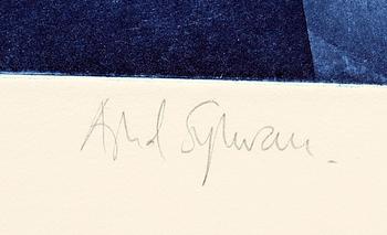 Astrid Sylwan, Untitled.