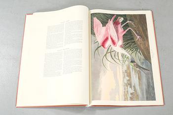 The book "The Birds of America", volume II, by John James Audubon, numbered 178/500, 1973.