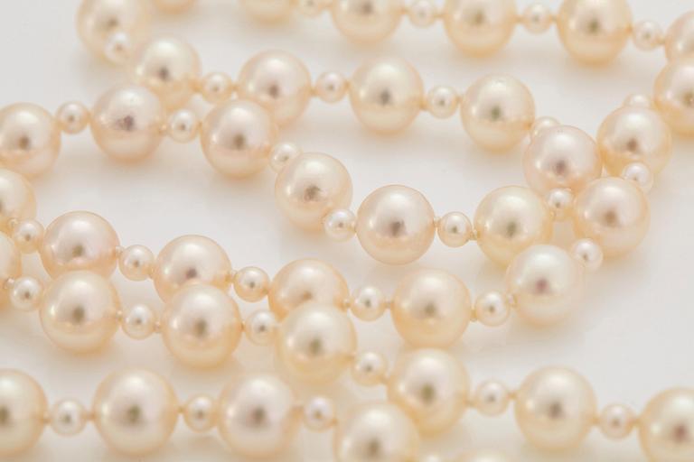 A cultured pearl necklace.