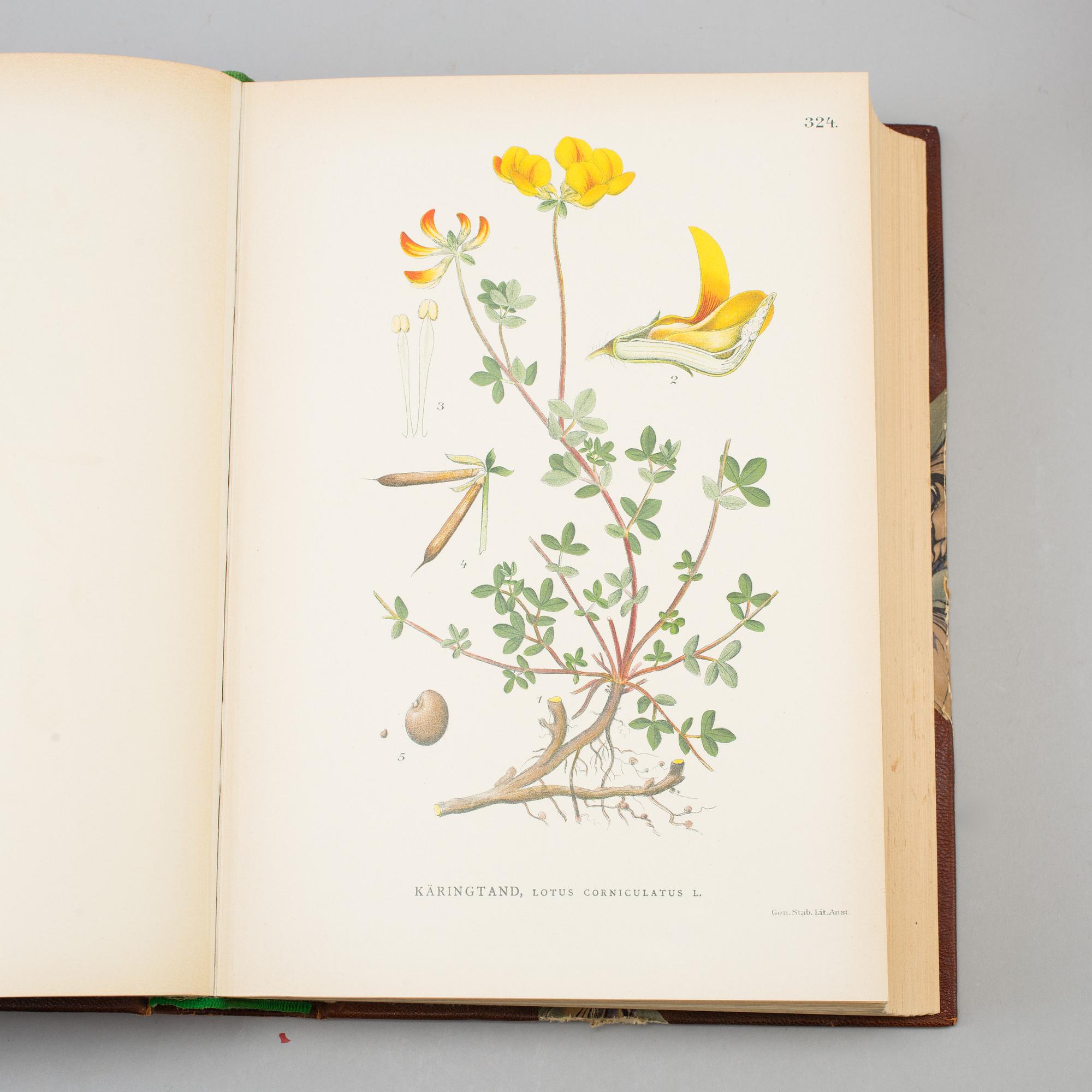 A set of three books, "Bilder ur Nordens Flora", CAM Lindman.