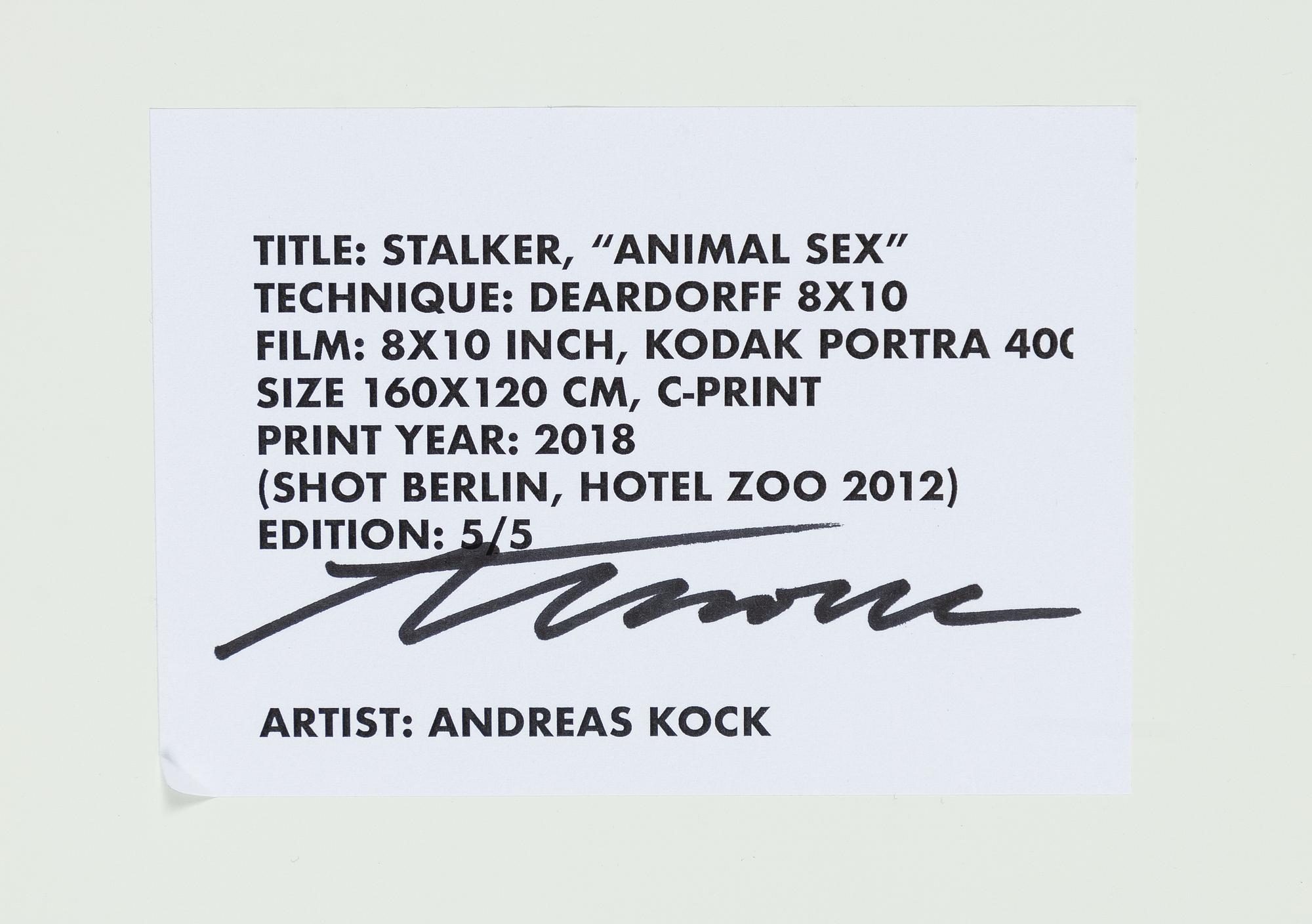 Andreas Kock, Stalker "Animal Sex", 2018.