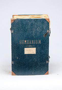HERBARIUM, 1910-tal.