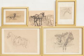 Hjalmar Asp, Animal Studies 5 pcs.