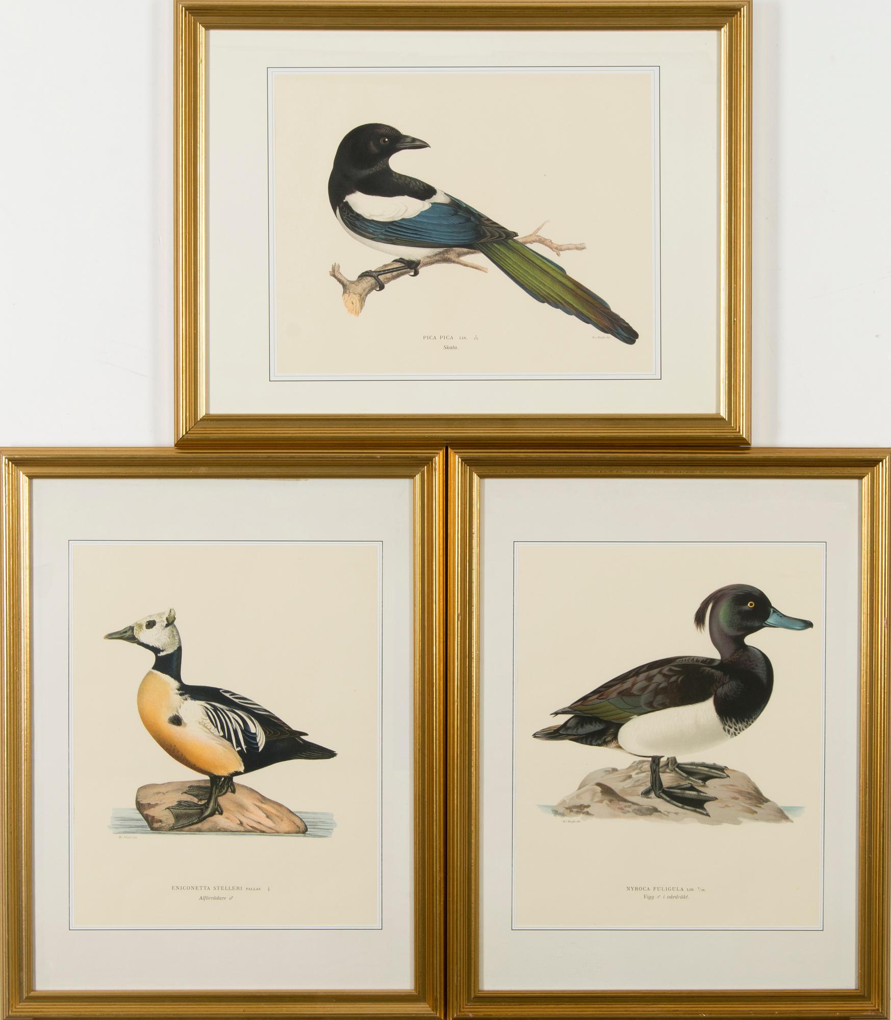 VÄRILITOGRAFIOITA, 3 kpl, Wilhelm ja Magnus von Wrightin mukaan. A. Börtzell, Tukholma.