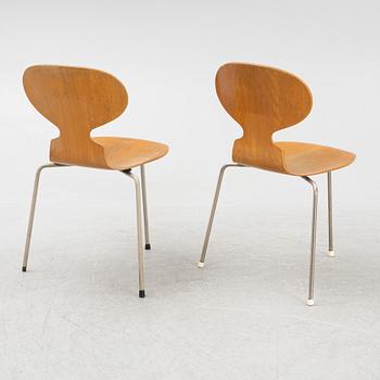 Arne Jacobsen, stolar, 6 st, "Myran", Fritz Hansen, Danmark, 1900-talets mitt.