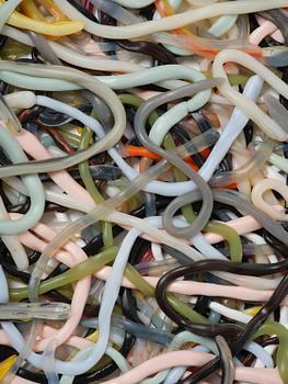 Matthias van Arkel, "#902 (String and Green)".