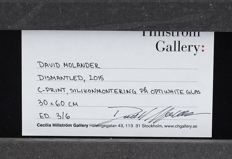 DAVID MOLANDER, C-print, signerad och numrerad 3/6.