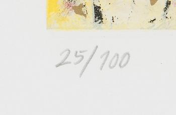 Canal Cheong-Jagerroos, Sommitelma.