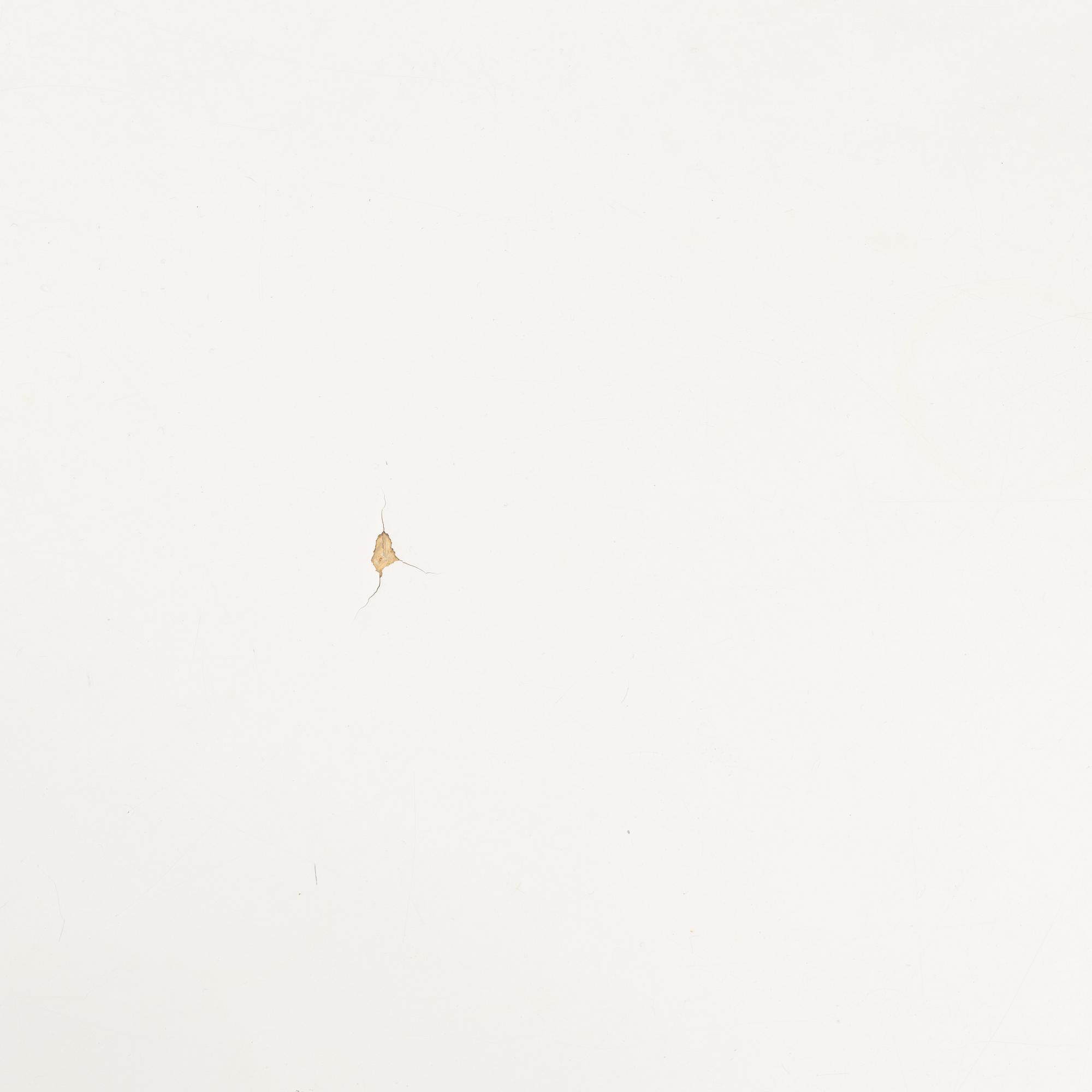 Bruno Mathsson, & Piet Hein, coffee table "Superellipse", second half of the 20th century.