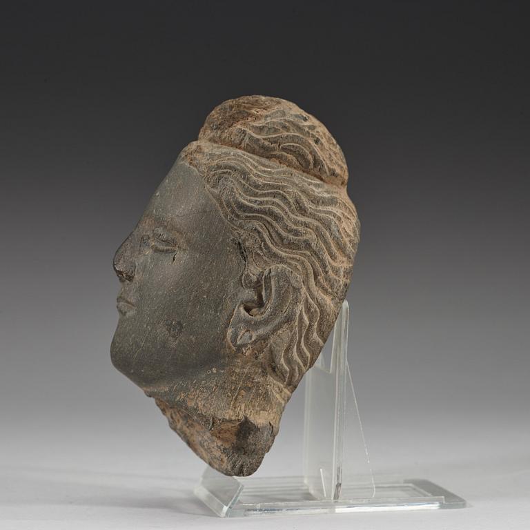 A stone sculpture of a head, Gandhara, presumably 2nd/3rd Century.