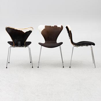 Arne Jacobsen, six 'Serie 7' chairs.