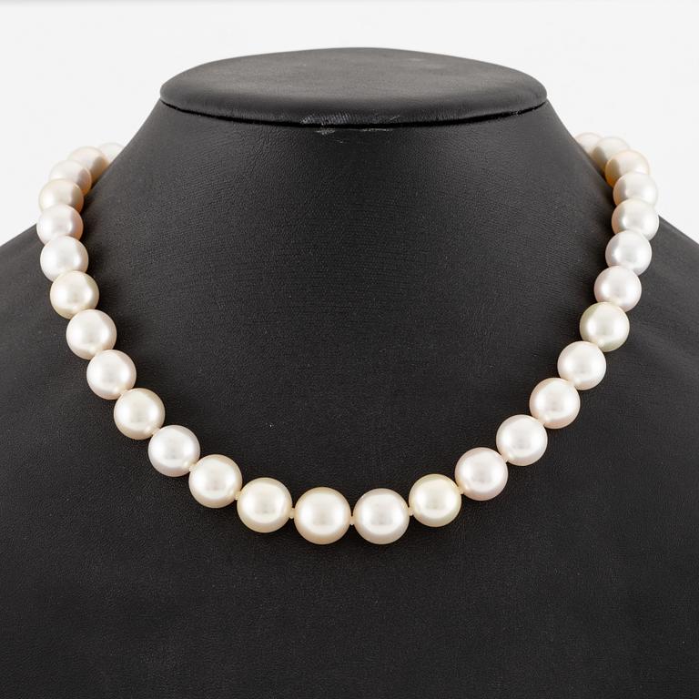 A necklace with cultured South Sea pearls.