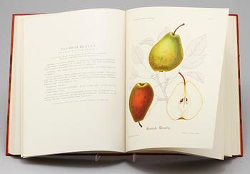 BOK, "Svenska Fruktsorter", Phil-Eriksson, PA Norstedt & Söners Förlag Stockholm 1924.