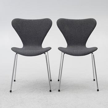 Arne Jacobsen, eight chairs, 'Serie 7', Fritz Hansen 2001.