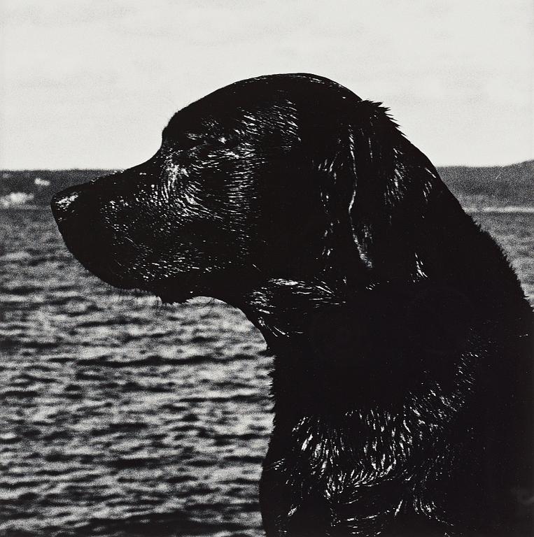 Per Maning, "Leo", 1993.