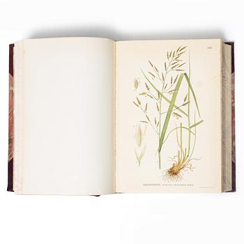 Books, 3 volumes. C.A.M. Lindman, *Bilder ur Nordens Flora*, 1922 and 1926 respectively.