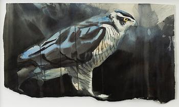 Emanuel Bernstone, Goshawk.
