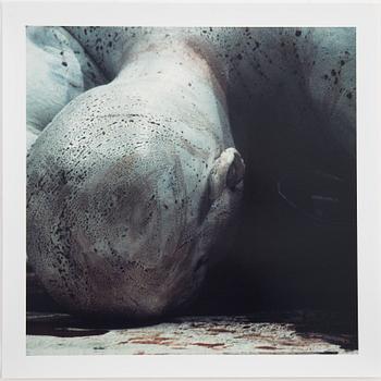 Franko B, complete boxed set with 10 prints by Franko B and text by Francesca Alfano Miglietto.