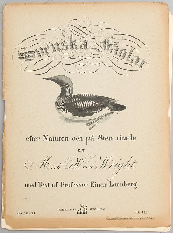 LITOGRAFISKA TRYCK, ca 30 st, ur M och W von Wright, Svenska fåglar.