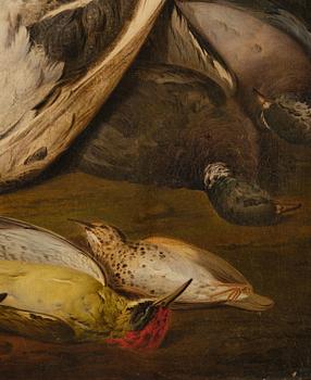 Jacob Xaver Vermoelen, Still Life with Pet Birds.