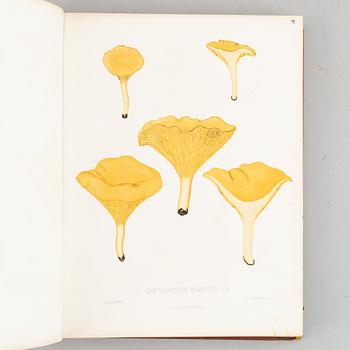 With 94 chromolithographs of mushrooms.