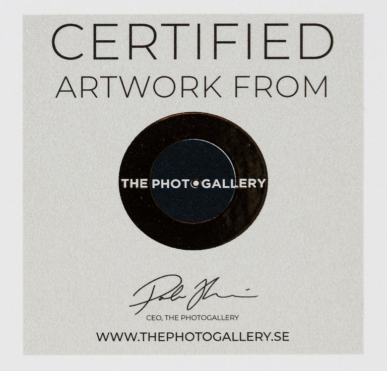 Mats Alfredsson, "Chicago", 2022.