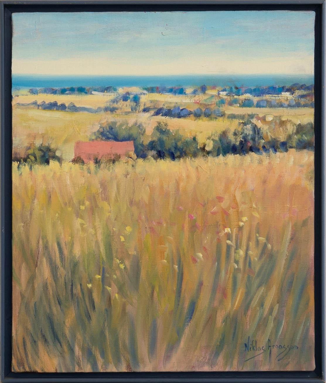 Niclas Aronsson, "Meadows in Österlen".
