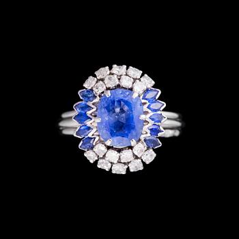 479. A RING, white gold, sapphires, diamonds. Weight c. 7.4 g.