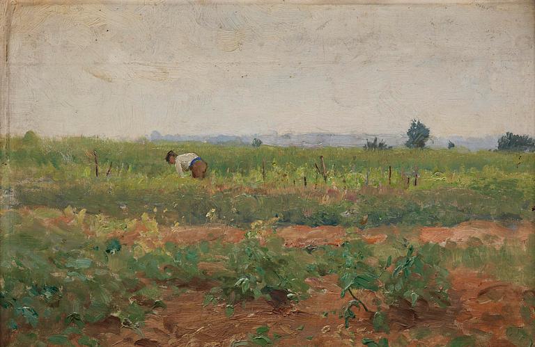 Carl Trägårdh, In the vegetable garden, Grèz.