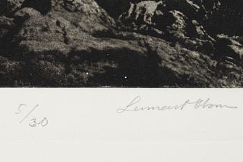 Lennart Olson, "Campas de Oris", 1991.