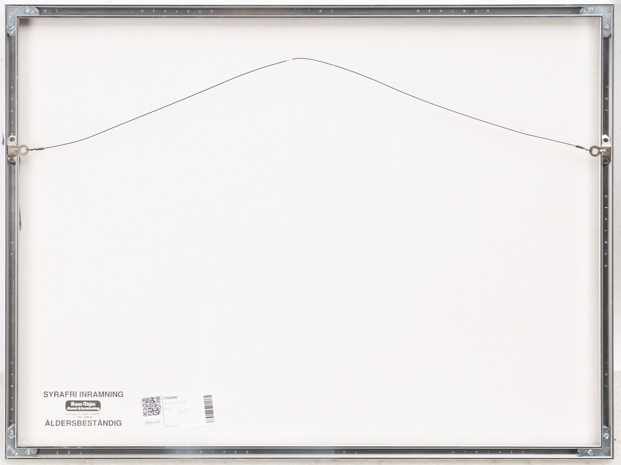 Jan Tarasin, Untitled.