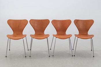 ARNE JACOBSEN, "Sjuan", 4 chairs, Fritz Hansen, Denmark.