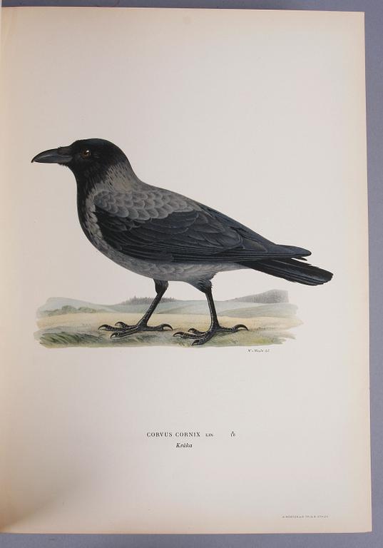 BÖCKER, 3 vol, "Svenska Fåglar", M, W och F von Wright, Förlaget svenska fåglar, Stockholm, 1929.