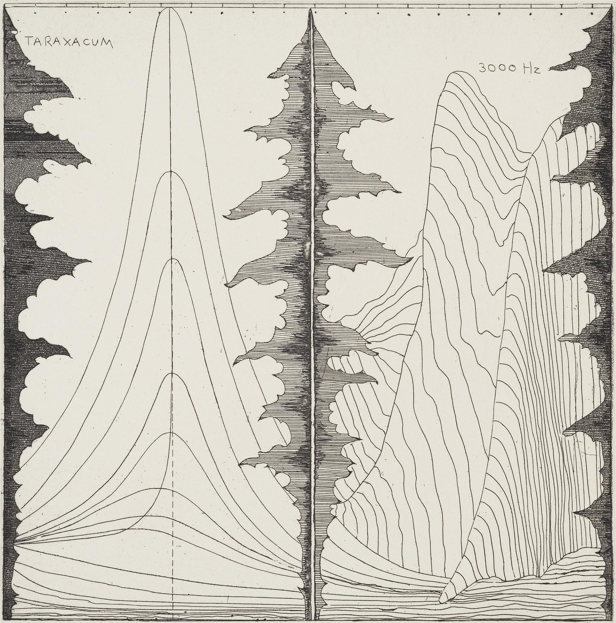 Christine Ödlund, "Bitter leaves and high frequencies".