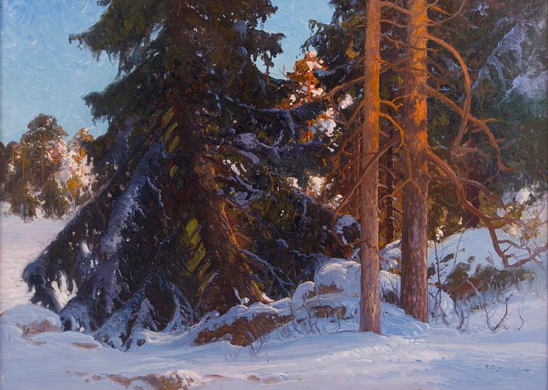 Carl Brandt, Talvinen metsämaisema.