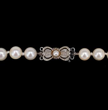 COLLIER, 2st, odlade saltvattenspärlor lås i 18k guld rödguld resp vitguld, 1950-tal.