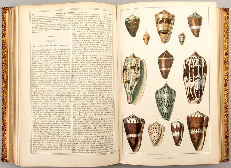 OLIVER GOLDSMITH 'A History of The Earth and Animated Nature' I-II, hand colored plates, c 1870.