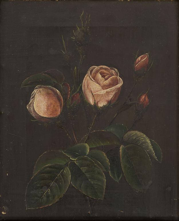 Danish school, 19th century, Pink roses.