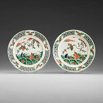 1482. Two famille verte dinner plates, Qing dynasty, Kangxi (1662-1722).
