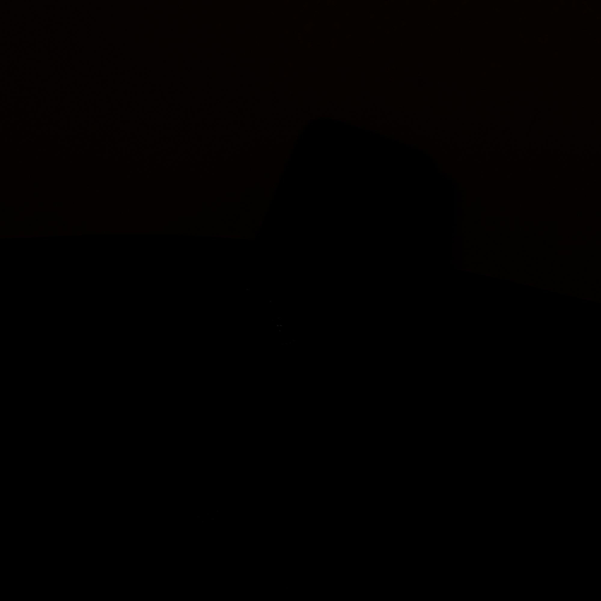 Chanel, "Boy Phone Pouch", 2014.